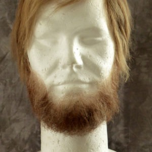 Vollbart dunkelblond