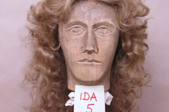 Dunkelblonde lockige Kunsthaarperücke Ida 5